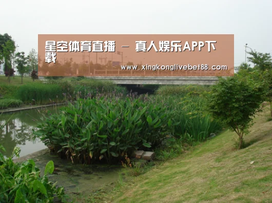 案例展示四(图1)