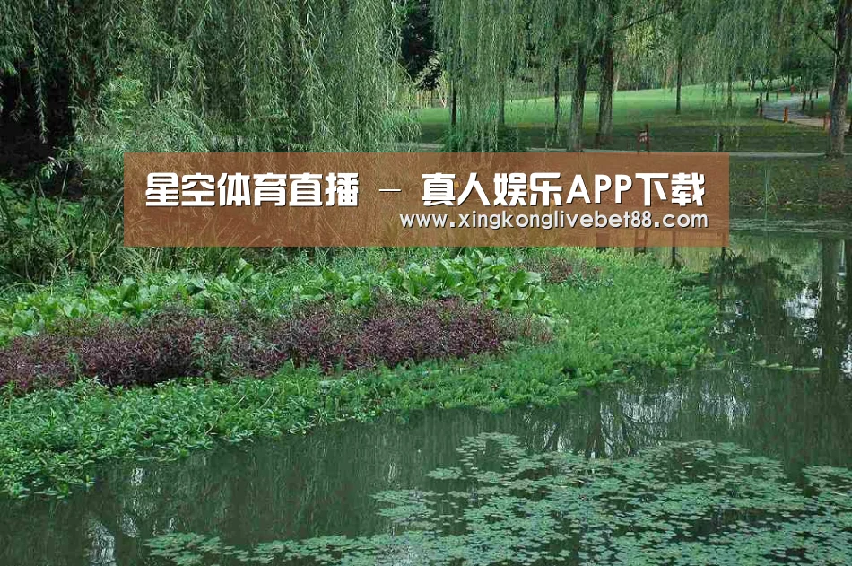 案例展示一(图1)