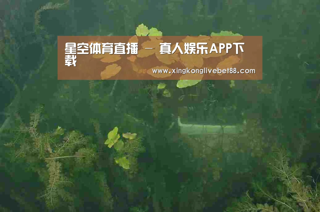 案例展示三(图1)