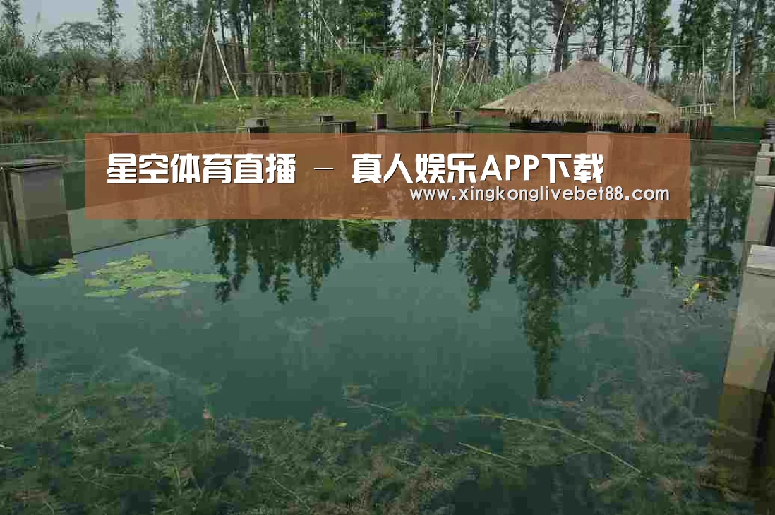 案例展示二(图1)
