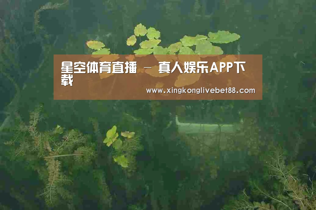 案例展示三