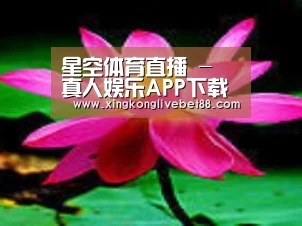 产品名称五