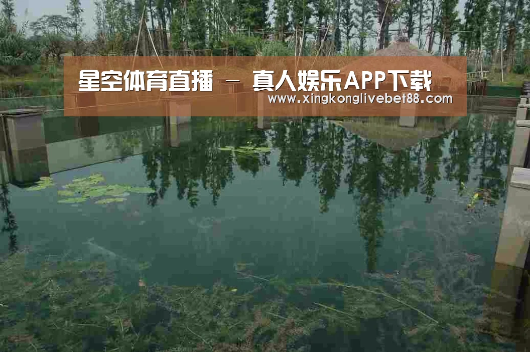 案例展示二