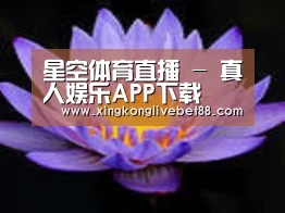产品名称六