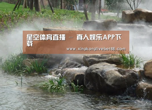 案例展示五