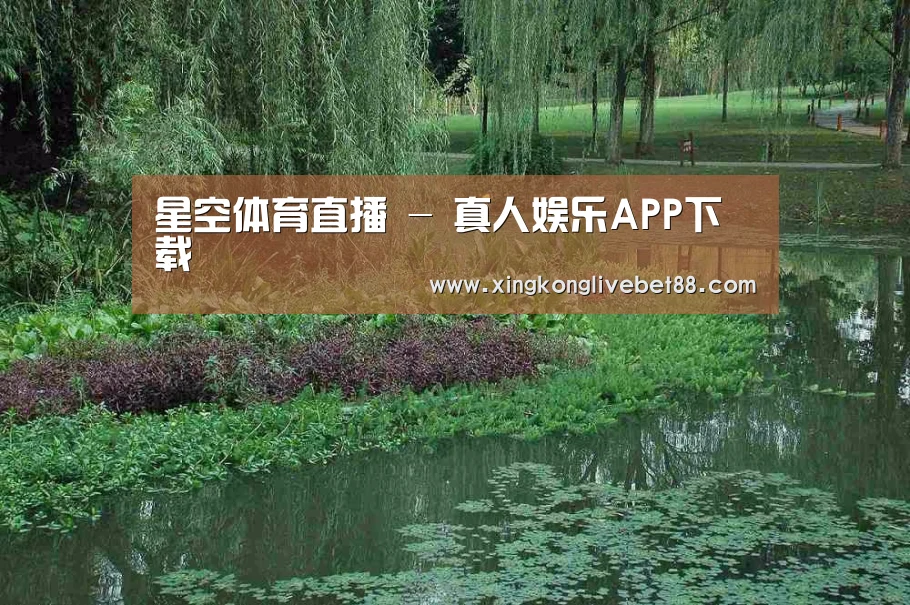 案例展示一