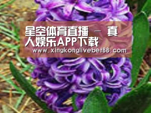 产品名称八