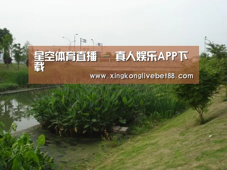 案例展示四