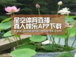 产品名称一