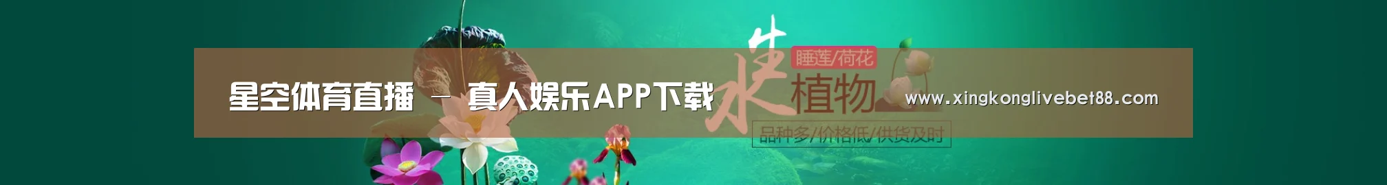 鲜花水草花卉网站模板