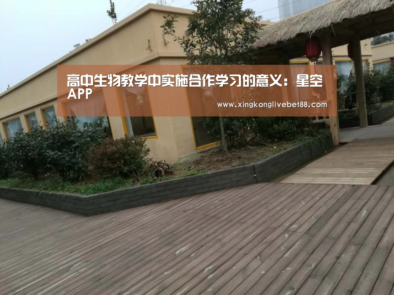 高中生物教学中实施合作学习的意义:星空APP(图2) 星空APP