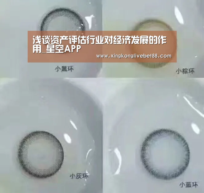 浅谈资产评估行业对经济发展的作用_星空APP(图1) 星空娱乐