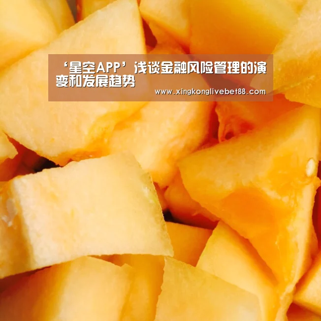 ‘星空APP’浅谈金融风险管理的演变和发展趋势(图4) 星空直播